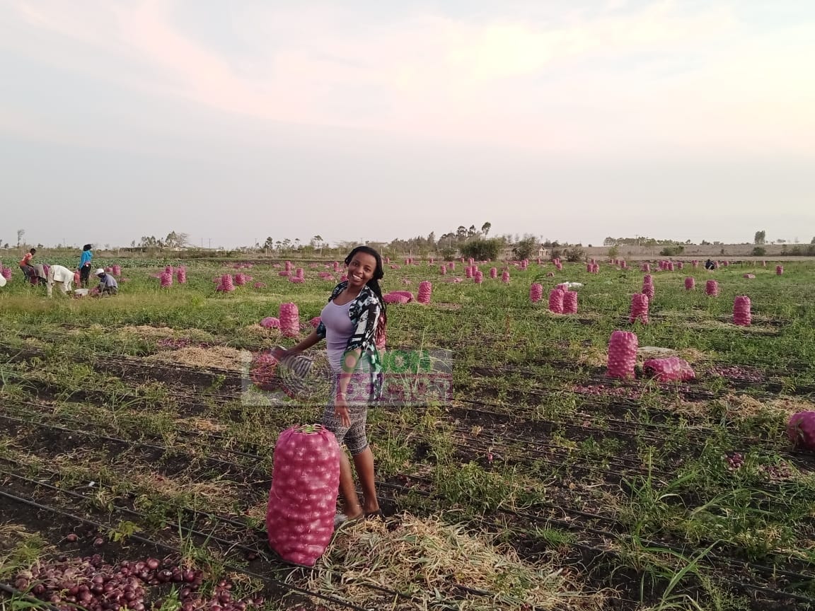 Empowering Individual Farmers to Deliver Results