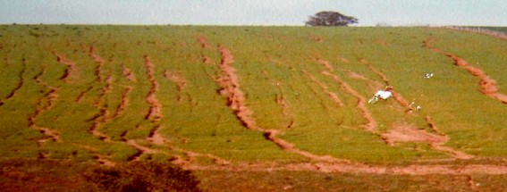 Before no till