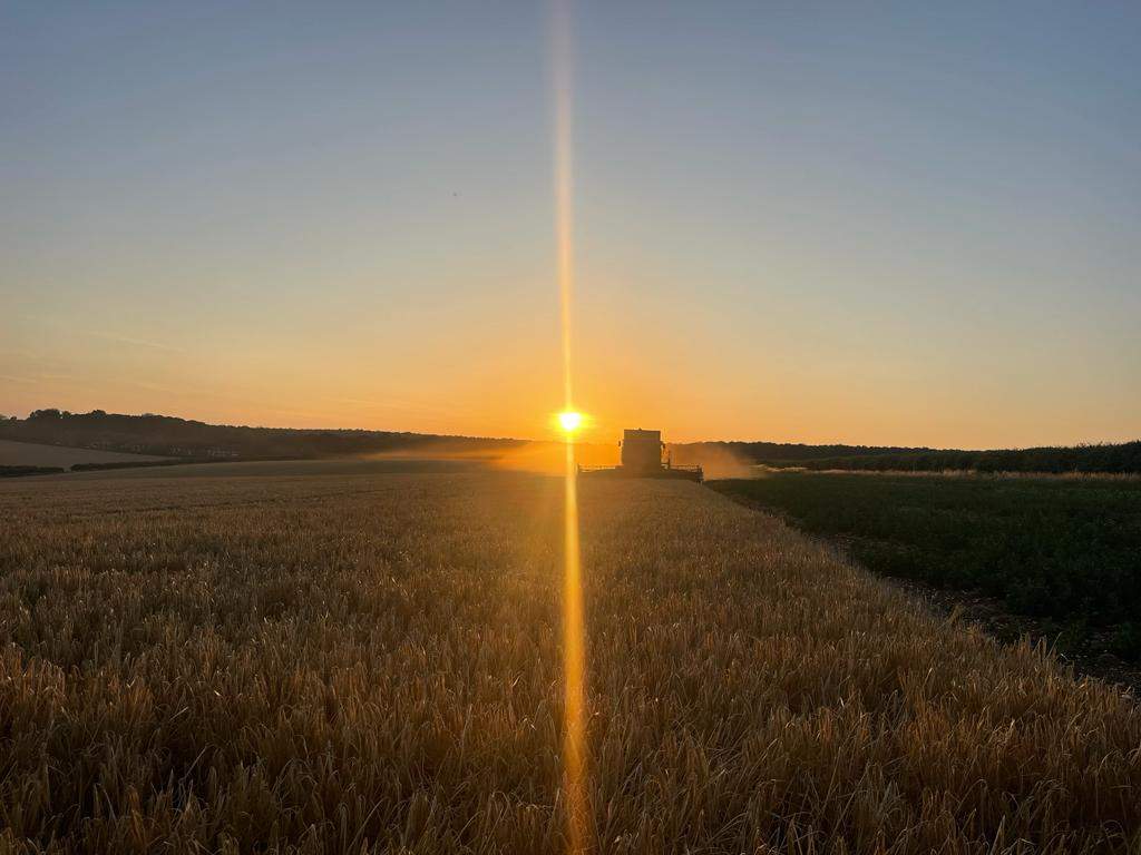 When Drought Challenges, Innovative Ag Technology Supports Our Survival