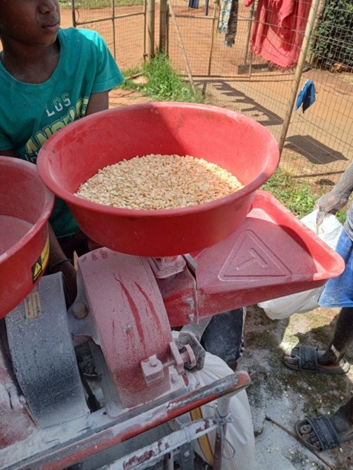 Maize shaker