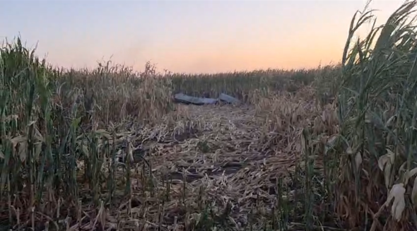 Missel in corn
