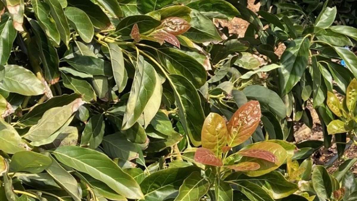As Climate Changes, Farmers Adapt and Resilience is Strengthened