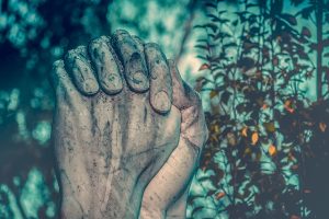 Farmer's hands in prayer
