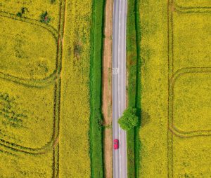 aerial photo of grass field